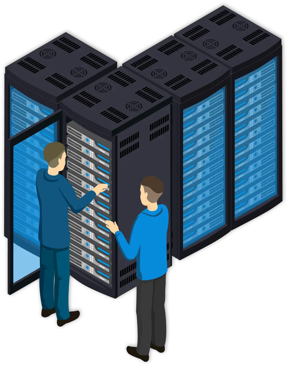 Customised Cabin and Network Structure